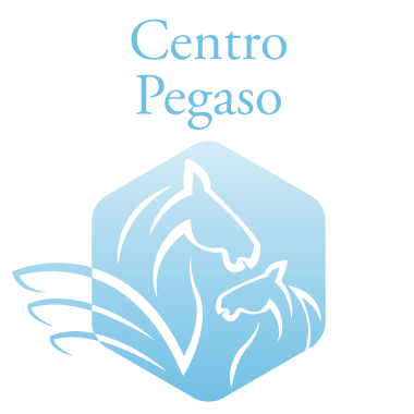 centropegaso Centro Pegaso